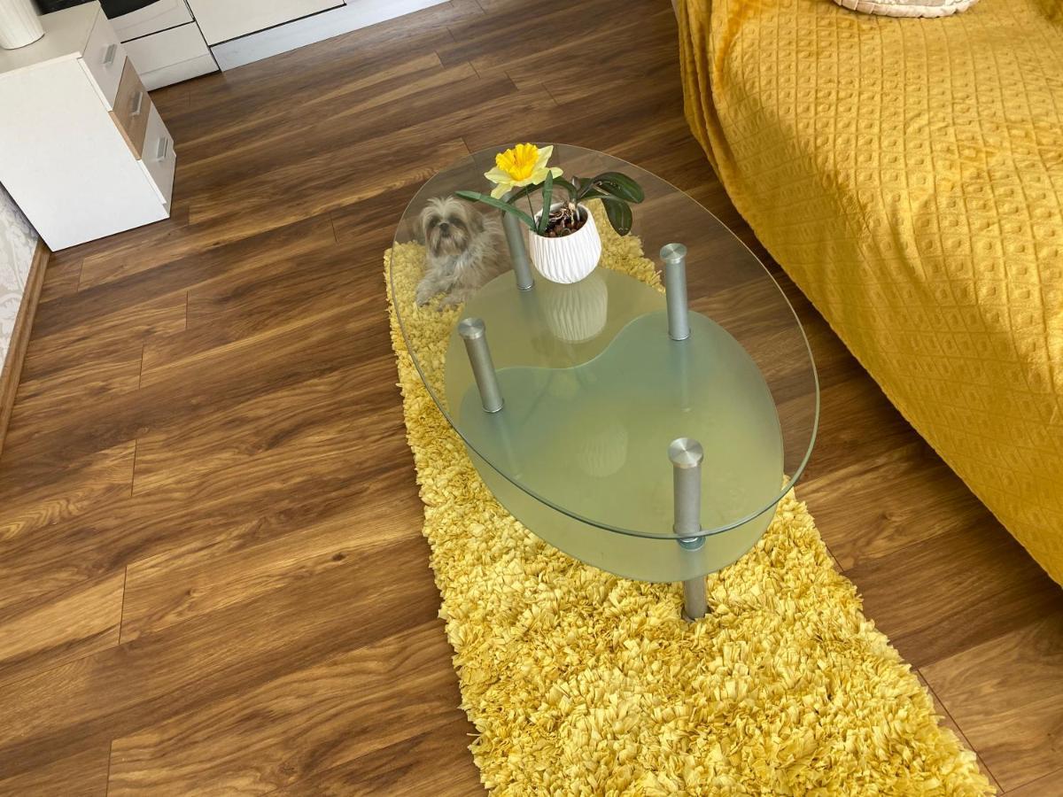 Iva Apartment 스플리트 외부 사진